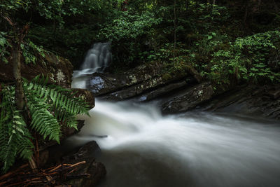 Scenic view of waterfall in forest between the green plants in summer season