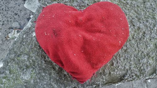 Close-up of heart shape on rock