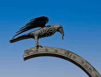 Low angle view of bird against clear blue sky