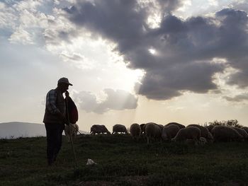 Shepherd with sheep on mountain against sky