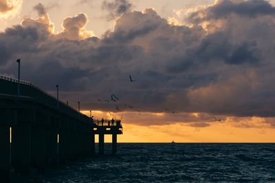 Birds flying over sea against sky during sunset