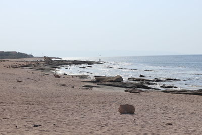 Scenic view of beach against clear sky