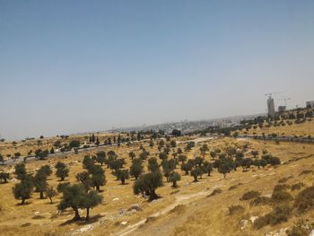 Scenic view of landscape against clear sky