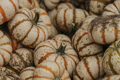 Full frame shot of pumpkins for sale at market stall