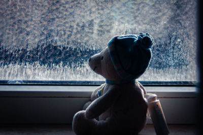 Dog looking through window at home