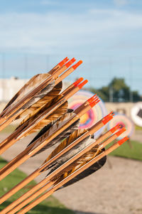 Close up of arrows