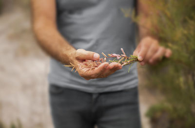 Adult man holding plant on tabernas desert in almeria, spain