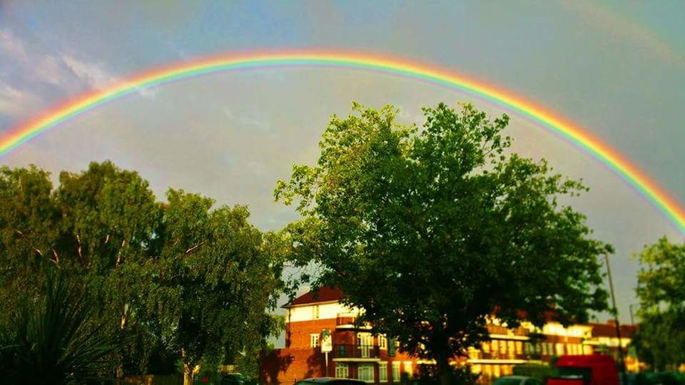 rainbow, tree, multi colored, beauty in nature, built structure, scenics, building exterior, architecture, natural phenomenon, nature, double rainbow, growth, arch, natural arch, tranquil scene, green color, day, town, treetop, tranquility, lush foliage, majestic, curve, no people, green