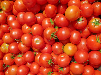 Full frame shot of tomatoes for sale