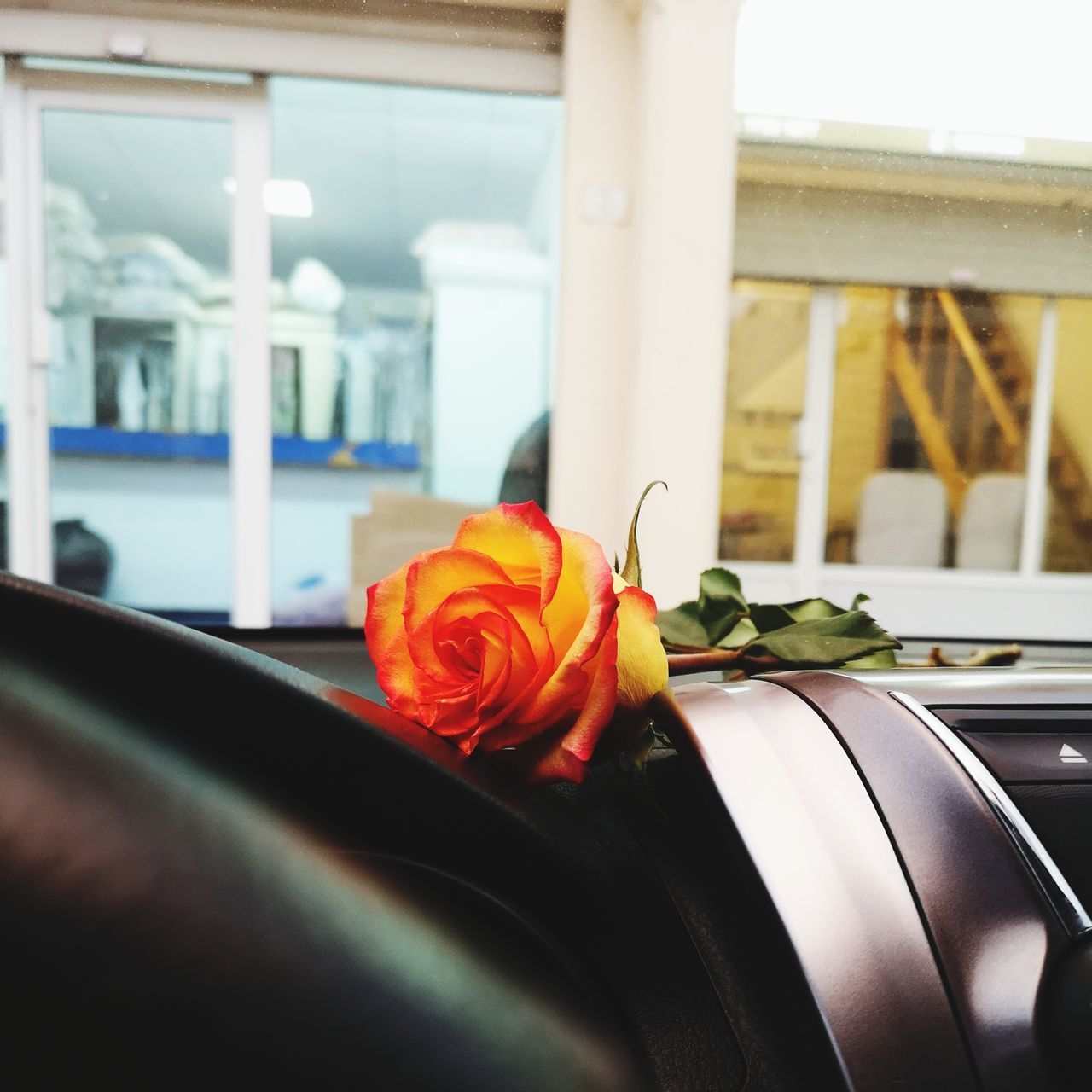 flower, flowering plant, rose, plant, rose - flower, indoors, beauty in nature, motor vehicle, vehicle interior, vulnerability, car, freshness, mode of transportation, nature, fragility, transportation, close-up, focus on foreground, flower head, land vehicle, architectural column, flower arrangement, bouquet