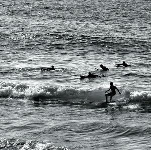 Silhouette of people surfing in sea