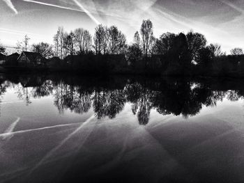 Reflection of trees in calm lake