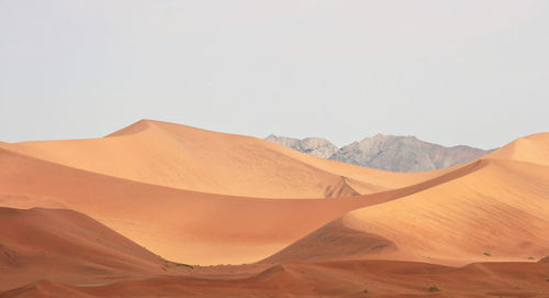 Scenic view of desert against sky