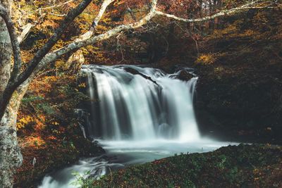 Scenic view of waterfall in forest