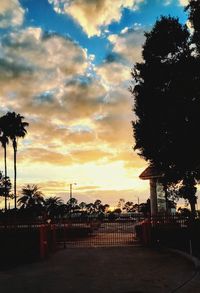 Silhouette palm trees and buildings against sky during sunset