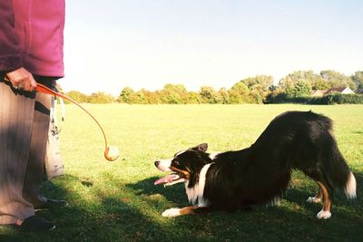 Low section of man with dog on field against clear sky