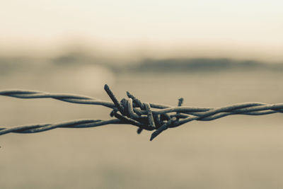 Close-up of barbed wire fence against sky