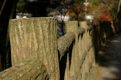 Close-up of hand on wood
