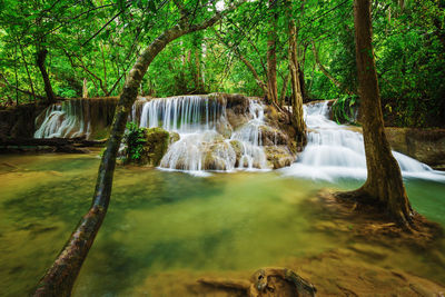 Scenic view of waterfall in forest