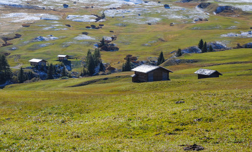 Scenic view of field and trees