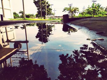 Reflection of palm trees in swimming pool