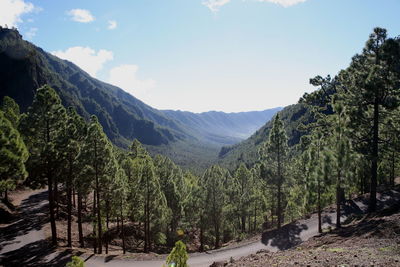 Panoramic shot of trees and mountains against sky