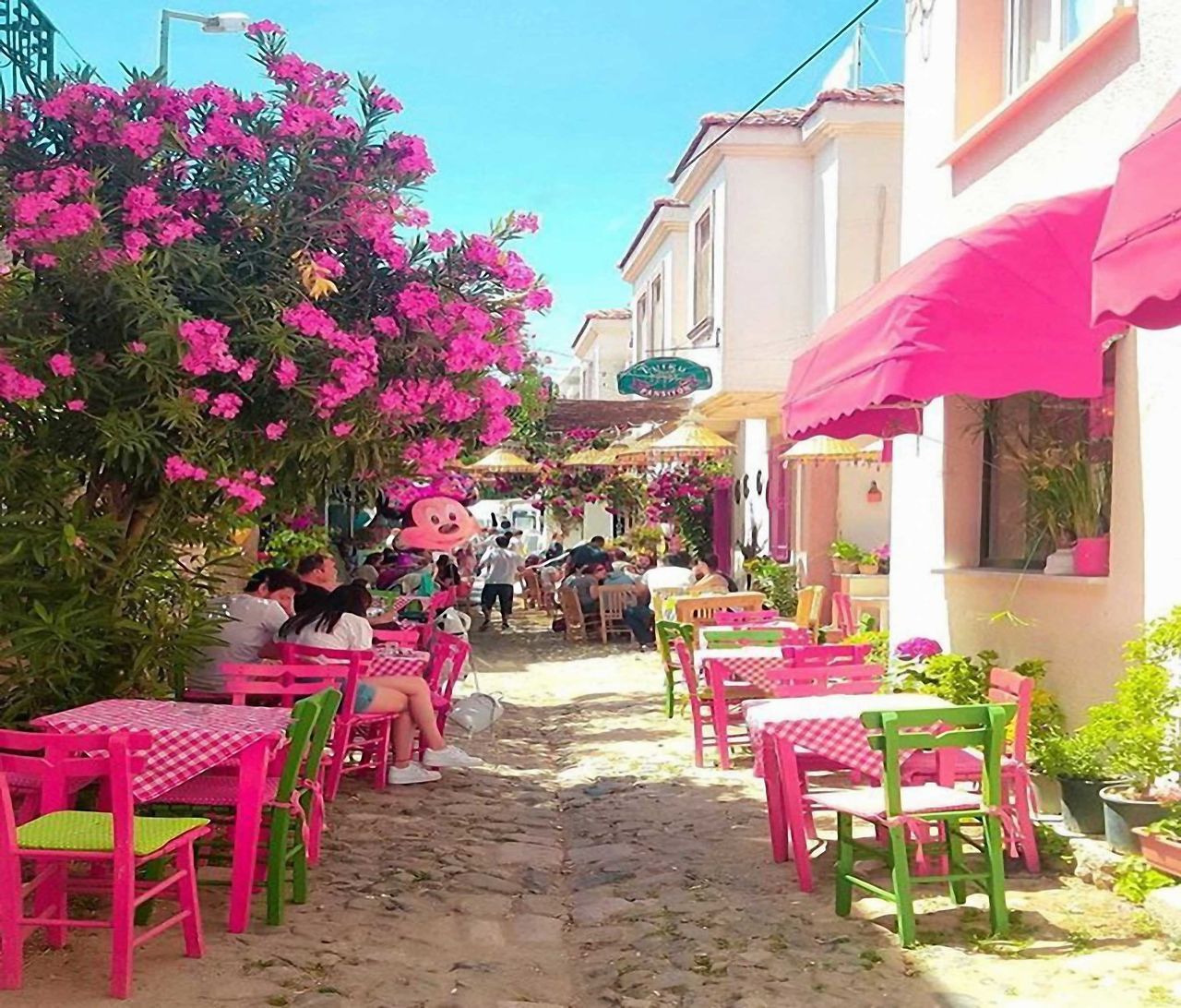 PINK FLOWERS ON TABLE BY BUILDING IN CITY