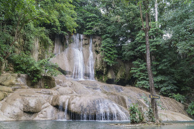 Scenic view of waterfall in forest