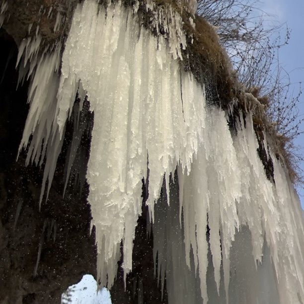 winter, cold temperature, snow, building exterior, architecture, built structure, low angle view, frozen, season, tree, white color, weather, day, outdoors, ice, icicle, fountain, building, nature, covering