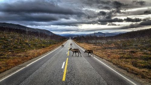 Road passing through mountains against sky