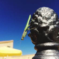 Close-up of statue against blue sky