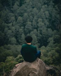 High angle view of man sitting on rock looking at forest