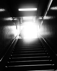 Rear view of man walking on staircase