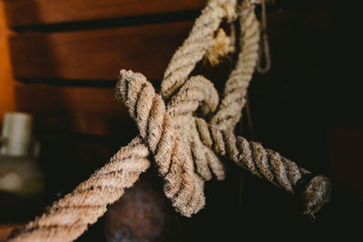 Close-up of rope tied on wood