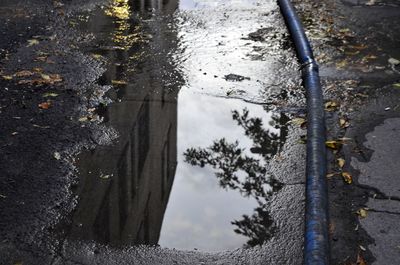 Reflection of trees in puddle on street during rainy season