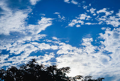 Low angle view of silhouette trees against blue sky