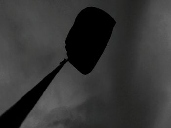 Low angle view of silhouette leaf against sky