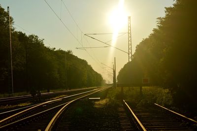 Railroad tracks amidst trees against sky