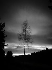 Silhouette trees on landscape against sky