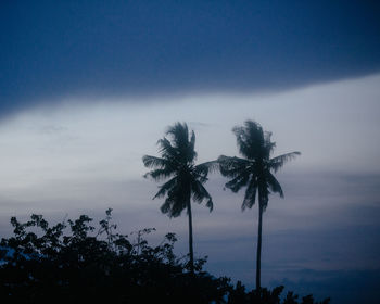 Silhouette palm trees against sky at sunset