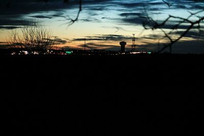 Silhouette of trees at sunset