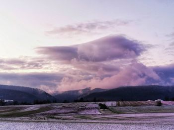 Scenic view of field against sky