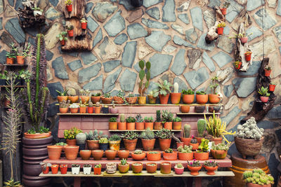 Potted plants at market stall