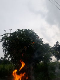 Low angle view of bonfire against sky