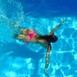 Jellyfish swimming in water