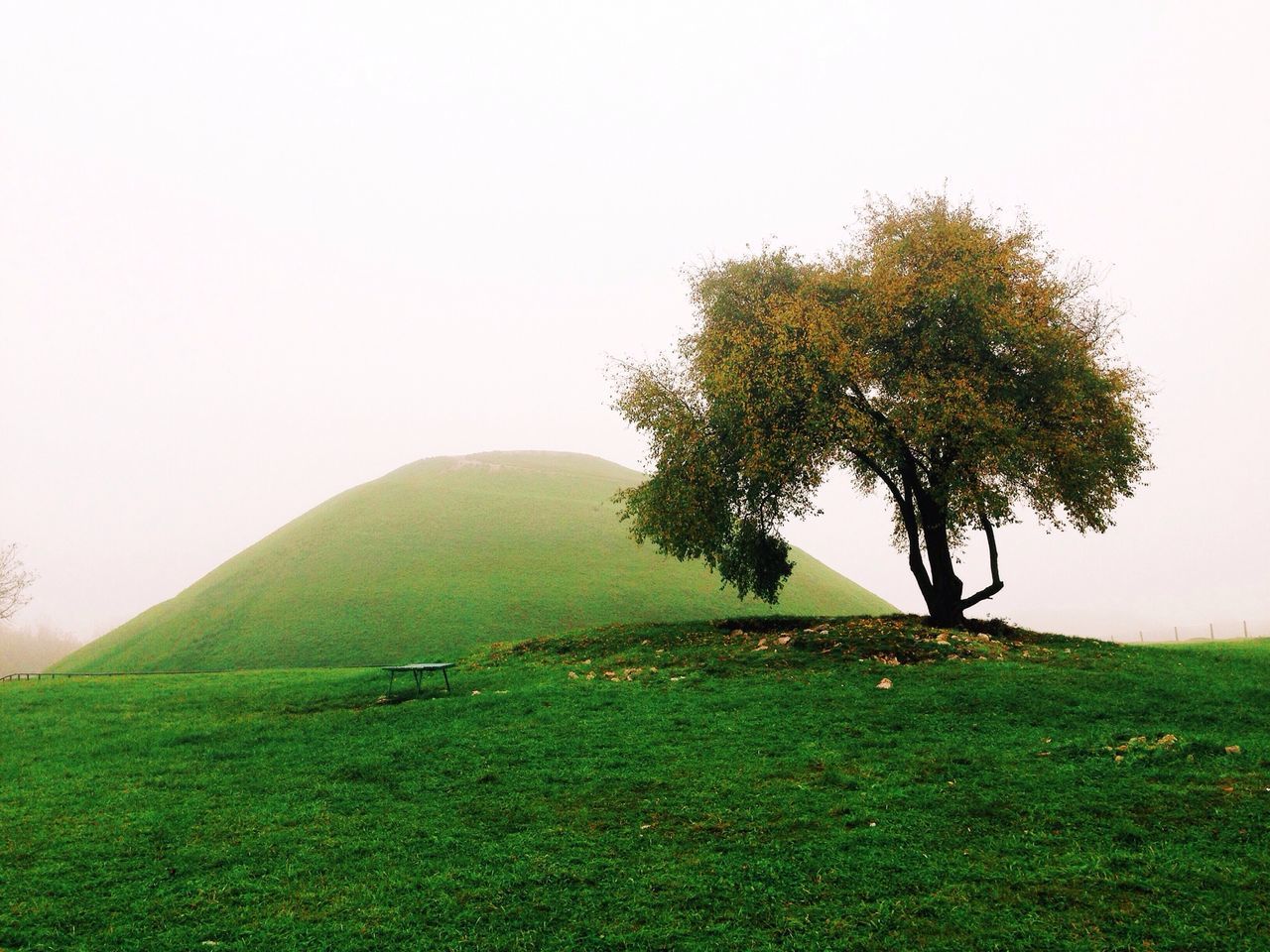 grass, clear sky, landscape, tranquility, tranquil scene, field, grassy, green color, copy space, scenics, mountain, tree, beauty in nature, nature, non-urban scene, growth, countryside, hill, remote