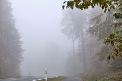 Road amidst trees against sky