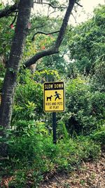 Information sign by trees