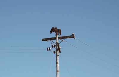 Low angle view of bird perching on electricity pylon against clear sky