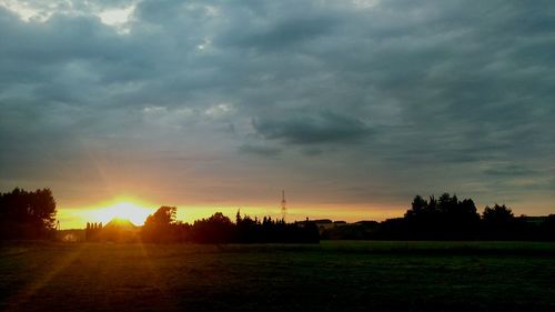 Silhouette trees on field against sky during sunset